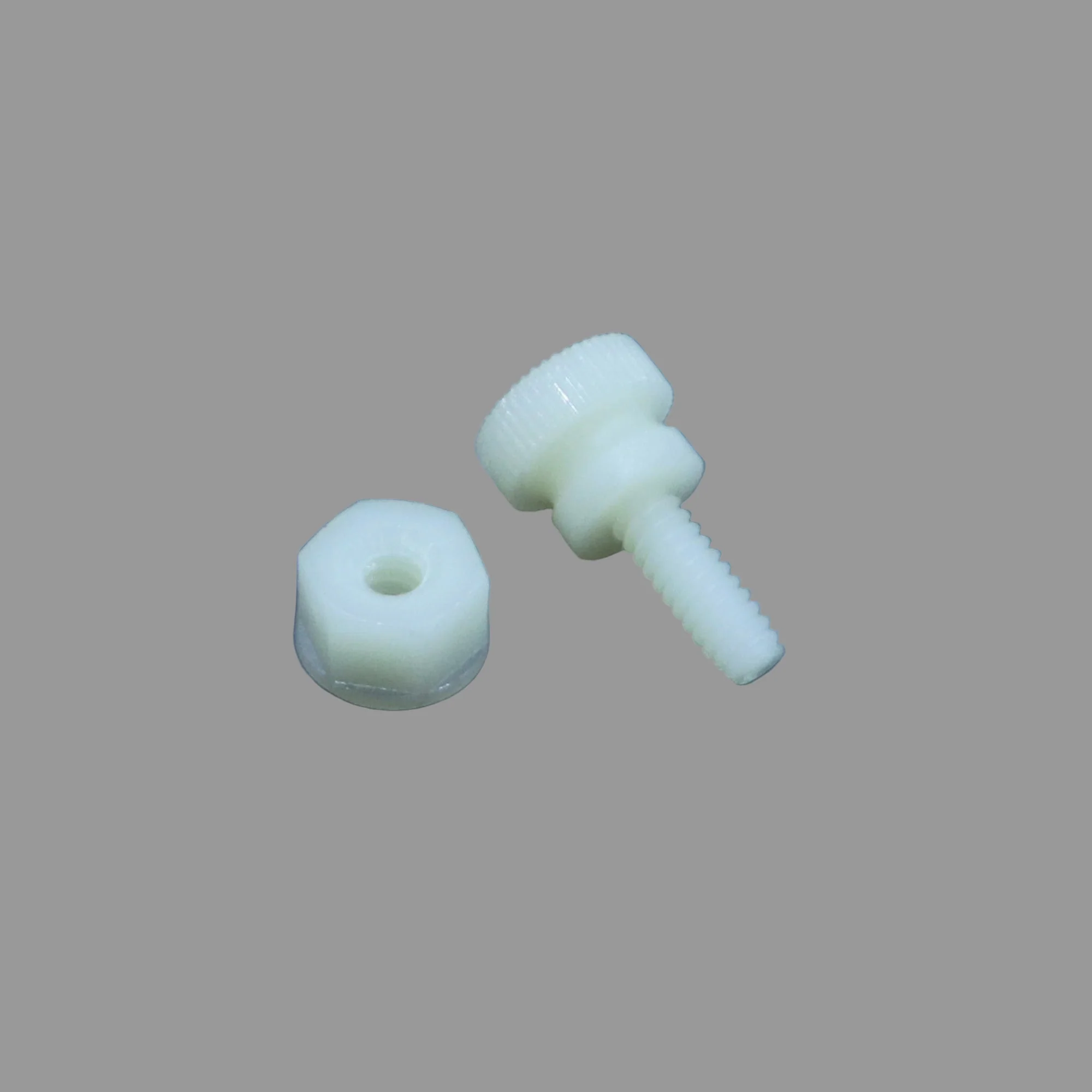 Plastic Screw and Nut