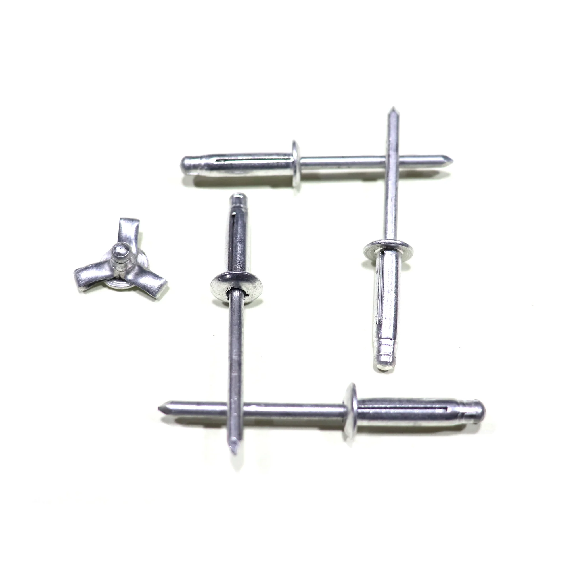 Silver Expansion Rivet